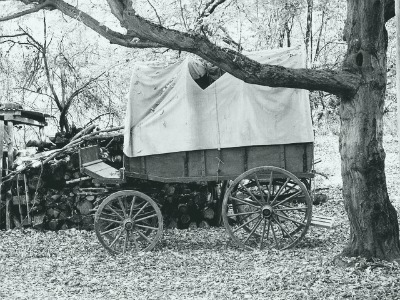 covered wagon-family history